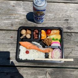 ヤエン釣り初キロover2杯良型2杯