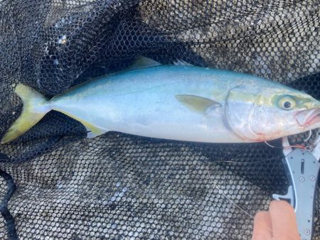 2024ライトゲーム第18戦