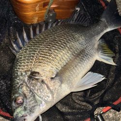 ヘチってきました