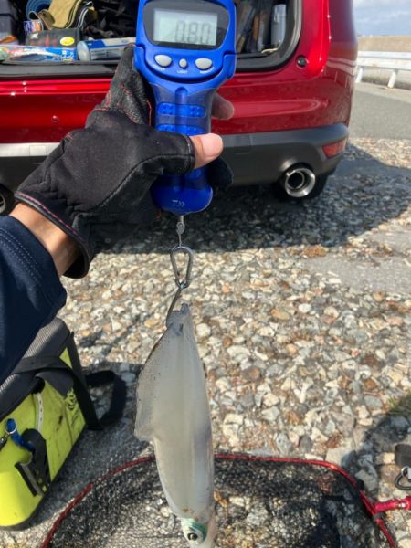 春🦑2杯目GET (^.^)