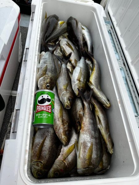 イサキ&ネギング釣行