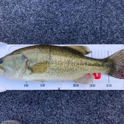 1日ボート釣行!