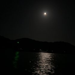 劇渋イカメタル