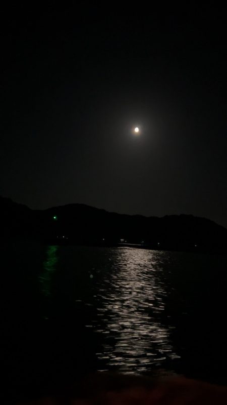 劇渋イカメタル