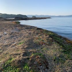 春アオリ、ゲット！