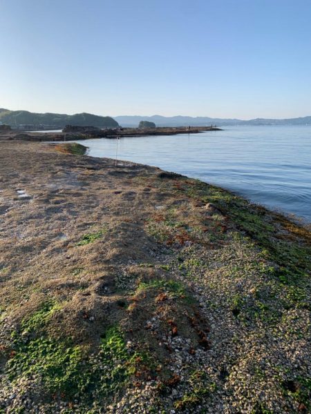 春アオリ、ゲット！