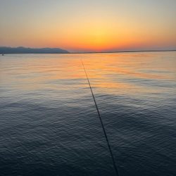 連休2日目の朝アジング