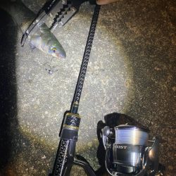 ナイト五目釣り