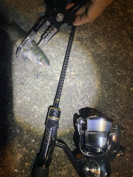 ナイト五目釣り