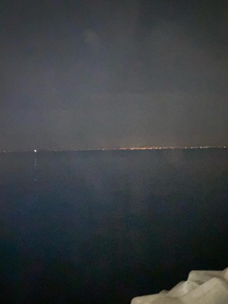 久しぶりのりんくう