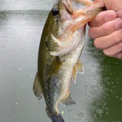 午前中ボート釣行！