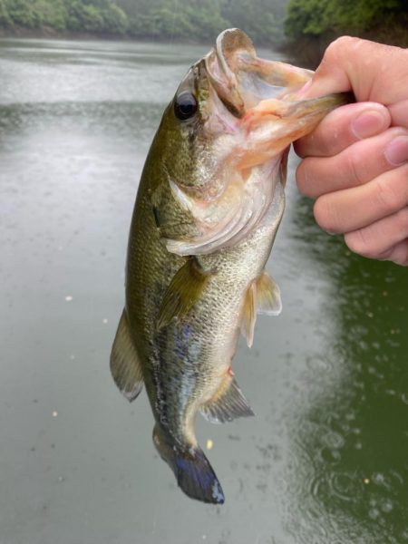 午前中ボート釣行！