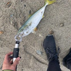 フロート、ショアジギ