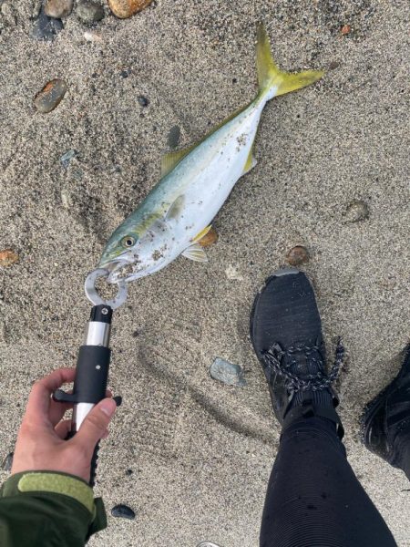 フロート、ショアジギ