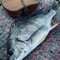 ヘチってきました