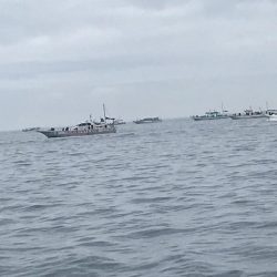 淡路のタコ釣り