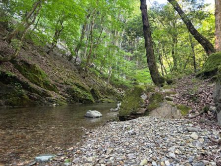 渓流釣行