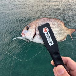 仕事終わってからの🎣