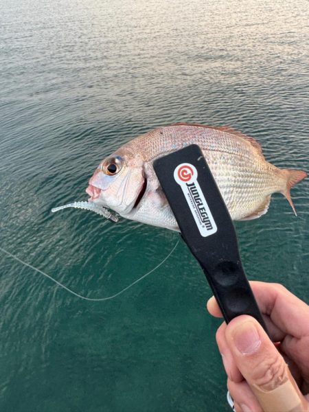 仕事終わってからの🎣