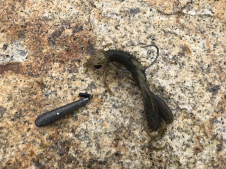 湾奥マルチヒット