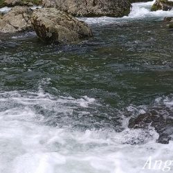 雨後はやっぱり高活性!良型入れ食い!
