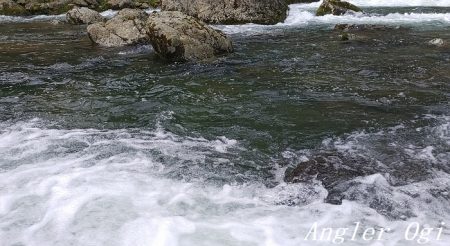 雨後はやっぱり高活性!良型入れ食い!