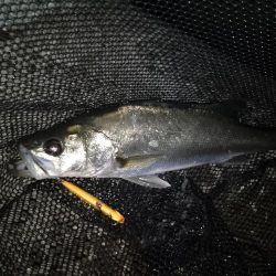 冷たい向かい風…