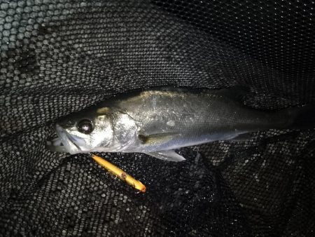 冷たい向かい風…