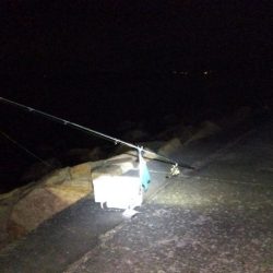 苅屋海岸のキス釣り