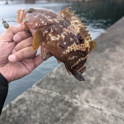 陸っぱり釣行記