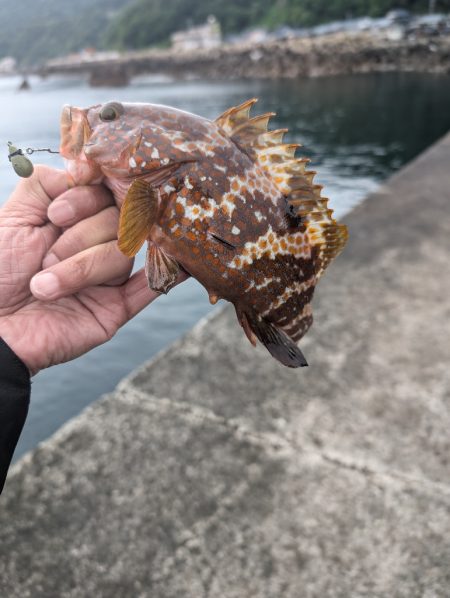 陸っぱり釣行記