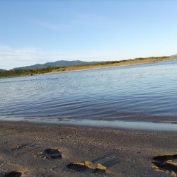 ベタ凪でも釣れました。