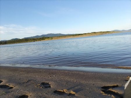 ベタ凪でも釣れました。