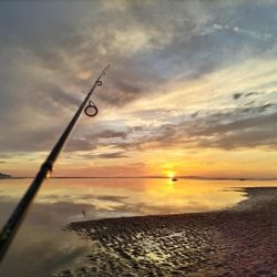 ルアーフィッシング