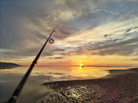 ルアーフィッシング