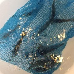 テナガエビ釣り