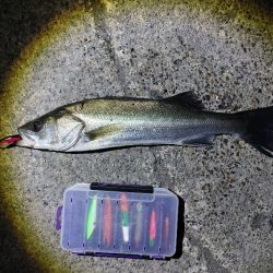 なかなか難しかったです(^^;)