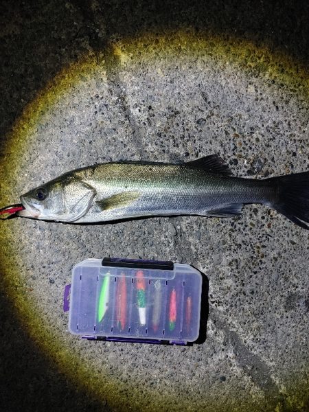 なかなか難しかったです(^^;)