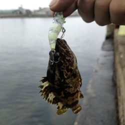 釣りキャン帰りに