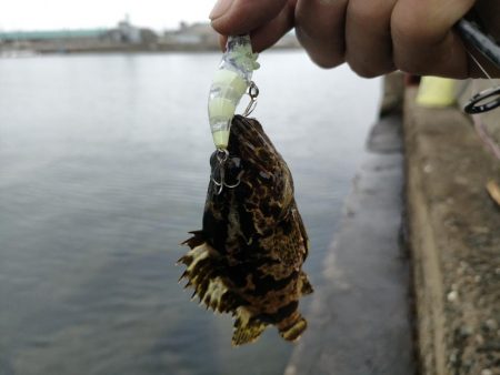 釣りキャン帰りに