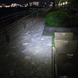 強風の中なんとか