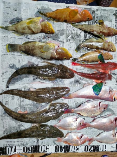 タイラバで甘鯛