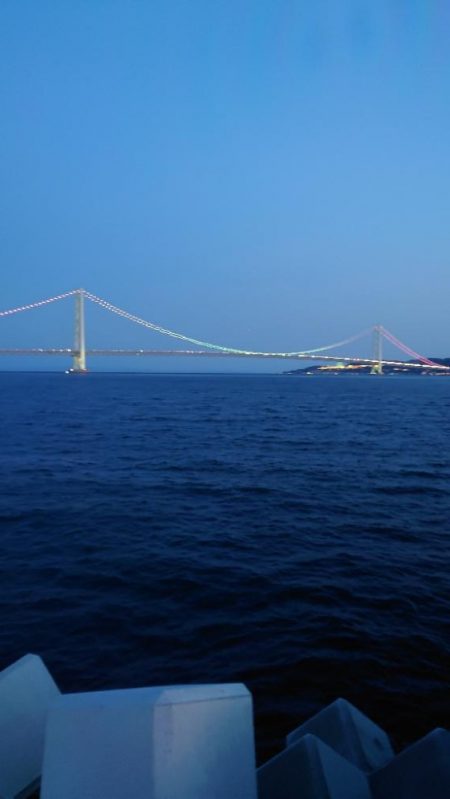 やっぱり穴釣り