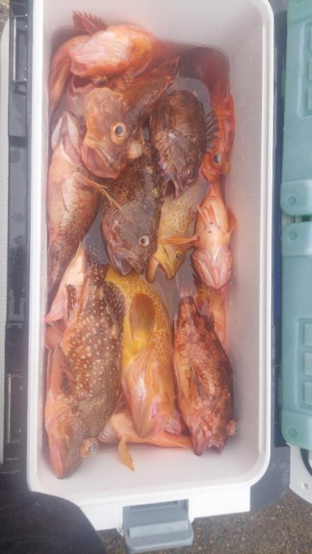 日本海根魚狙い