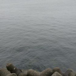 セットアッパーでメジロ2発