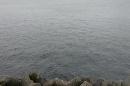 セットアッパーでメジロ2発