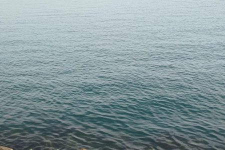 ムラチェで春イカ