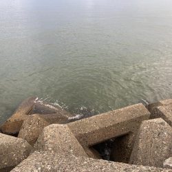 シロギスタのDo As Infinityな一日