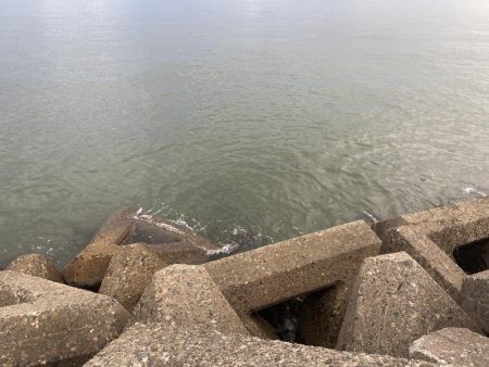 シロギスタのDo As Infinityな一日