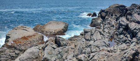 アカハタはどこいった?